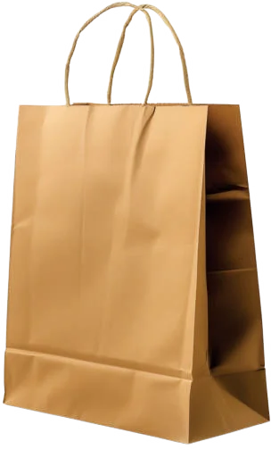 Brown kraft shopping bag with twisted paper rope handles