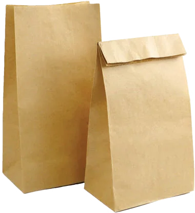 Two plain brown SOS kraft paper bags, flat bottom